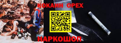 гидра Брянск