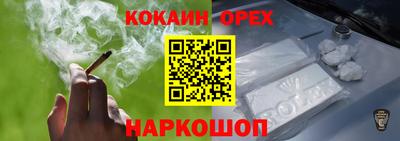 гидра Брянск