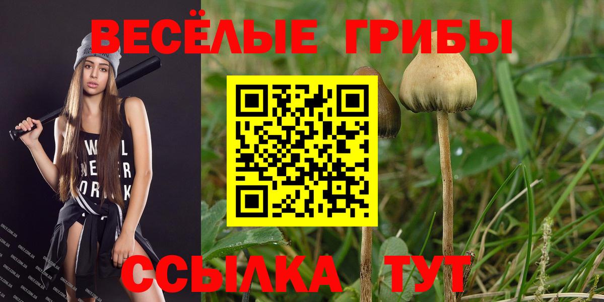 APVP Великий Устюг